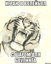 играю в волейбол с шаром для боулинга