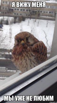 я вижу меня мы уже не любим