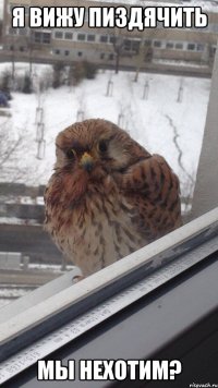 я вижу пиздячить мы нехотим?