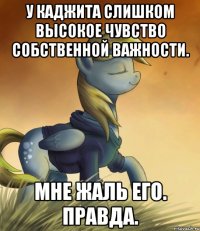 У каджита слишком высокое чувство собственной важности. Мне жаль его. Правда.