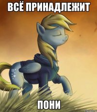 Всё принадлежит Пони