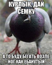 курлык, дай семку а то буду бегать возле ног как ебанутый