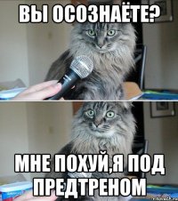 вы осознаёте? мне похуй,я под предтреном