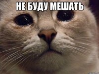 не буду мешать 