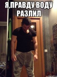 Я,правду воду разлил 