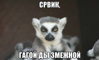Срвик, гагой ды змежной