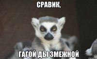 Сравик, гагой ды змежной
