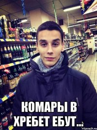  Комары в хребет ебут...