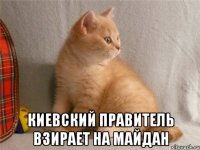  киевский правитель взирает на майдан
