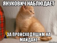 янукович наблюдает за происходящим на майдане
