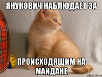 янукович наблюдает за происходящим на майдане