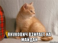  янукович взирает на майдан