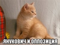  янукович и оппозиция