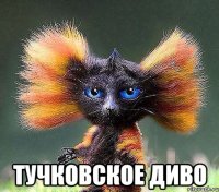  Тучковское диво