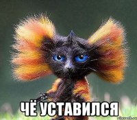  чё уставился