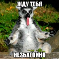 Жду тебя Незбагойно