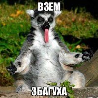 ВЗЕМ ЗБАГУХА
