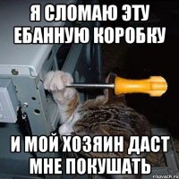 я сломаю эту ебанную коробку и мой хозяин даст мне покушать
