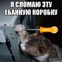 я сломаю эту ебанную коробку 