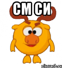см си 