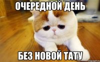 ОЧЕРЕДНОЙ ДЕНЬ БЕЗ НОВОЙ ТАТУ