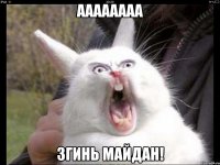 аааааааа згинь майдан!