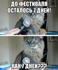 До фестиваля осталось 7 дней! Как 7 дней???