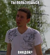 ты пользуешься виндой?