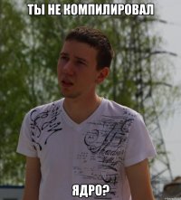 ты не компилировал ядро?