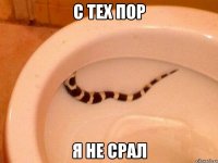с тех пор я не срал