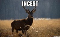 incest 