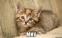  миу