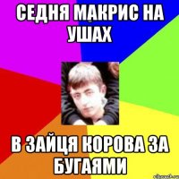 Седня макрис на ушах В зайця корова за бугаями