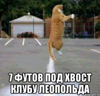  7 футов под хвост клубу леопольда