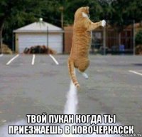  твой пукан когда ты приезжаешь в Новочеркасск