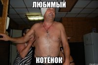 любимый котёнок