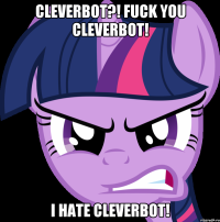 CLEVERBOT?! FUCK YOU CLEVERBOT! I HATE CLEVERBOT!