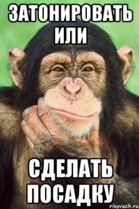 затонировать или сделать посадку