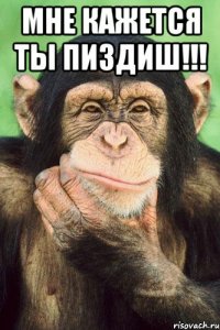 МНЕ КАЖЕТСЯ ТЫ ПИЗДИШ!!! 