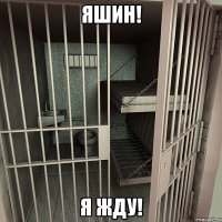 яшин! я жду!