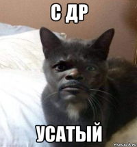 С ДР Усатый