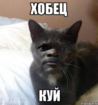 хобец куй