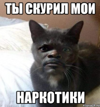 ТЫ СКУРИЛ МОИ нарКОТИКи