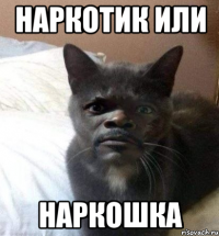 НАРКОТИК или НАРКОШКА