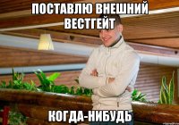 поставлю внешний вестгейт когда-нибудь
