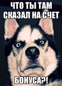 Что ты там сказал на счет Бонуса?!