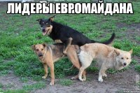 Лидеры евромайдана 