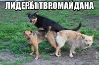 Лидеры Tвромайдана 