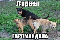 идеры Евромайдана