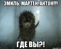Эмиль, Мартен, Антон!!! Где вы?!
